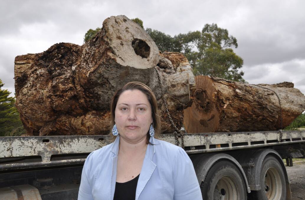 SENTIMENT: Natalie Gordon said she was saddened by the fact the tree had to be cut down but acknowledged "its time had come." Photo: Louise Thrower.