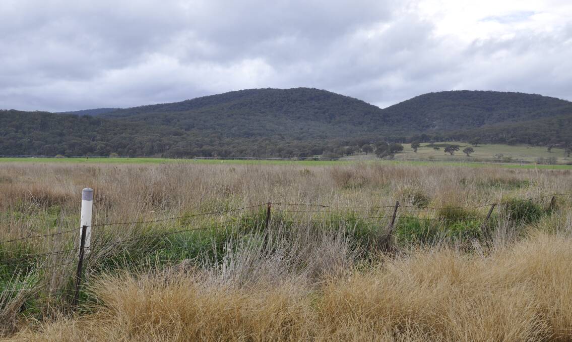 A planning proposal will be lodged to the State Government to rezone the council's effluent irrigation farm off Gorman Road for agricultural, eco-tourism, sports and recreation, a high-tech agricultural park and residential development.