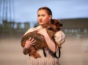 TALENTED DUO: Grace Robinson, as Dorothy, with Aussie terrier, Griff, who starred as Toto in the Rocky Hill Musical Theatre Company's production, 'The Wizard of Oz.' Photo: Peter Oliver Imagery.