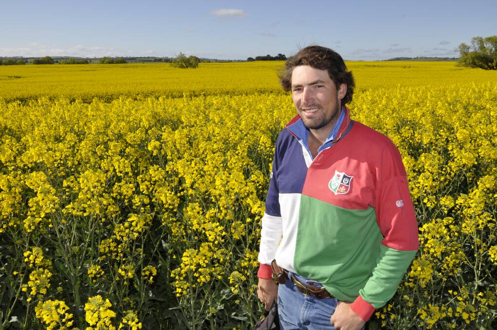 FIELD OF DREAMS: Austin McLennan of 'Connen Hill' on the Braidwood Rd is looking forward to another bountiful canola harvest. Photo: Louise Thrower.