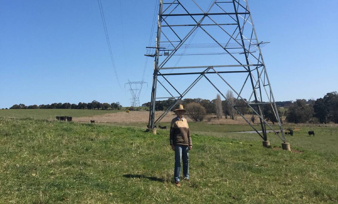 ANOTHER WAY: Bannister property owner Christine Hughes believes the area's pristine environment will become industrial if more overhead transmission lines are approved. Her and husband Tom's property already has three traversing the land. Photo supplied. 