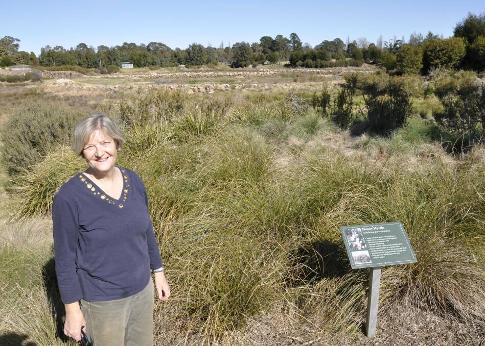 DOER: Friends of Goulburn Swamplands president Heather West has helped transform the Eastgrove wetlands along with a small army of volunteers. Photo: Louise Thrower.