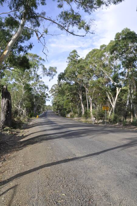 Jerrara Road, pictured in February this year.