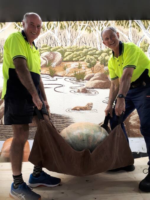 HEAVY LIFTING: Ken Hewitt from Grabben Gullen and Dave Cullen from Wollongong hoist one of several heavy pumpkins into place for the display.