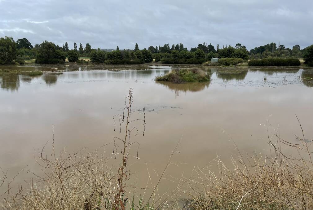 The wetlands were still heavily silted in late January, three weeks after the last major rainfall event. Photo: Louise Thrower.