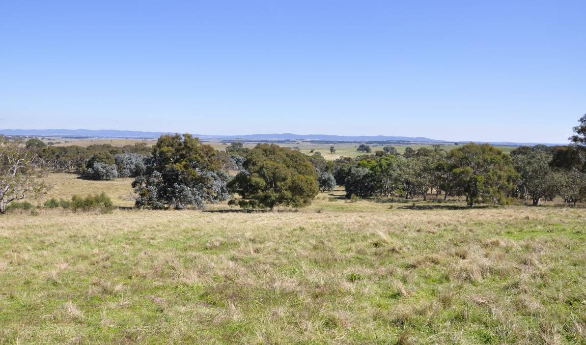 A solar farm planned for the Gundary Plains on Goulburn's southeastern outskirts has sparked strong debate about its appropriateness for the area. Photo: Louise Thrower.