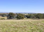 A solar farm planned for the Gundary Plains on Goulburn's southeastern outskirts has sparked strong debate about its appropriateness for the area. Photo: Louise Thrower.