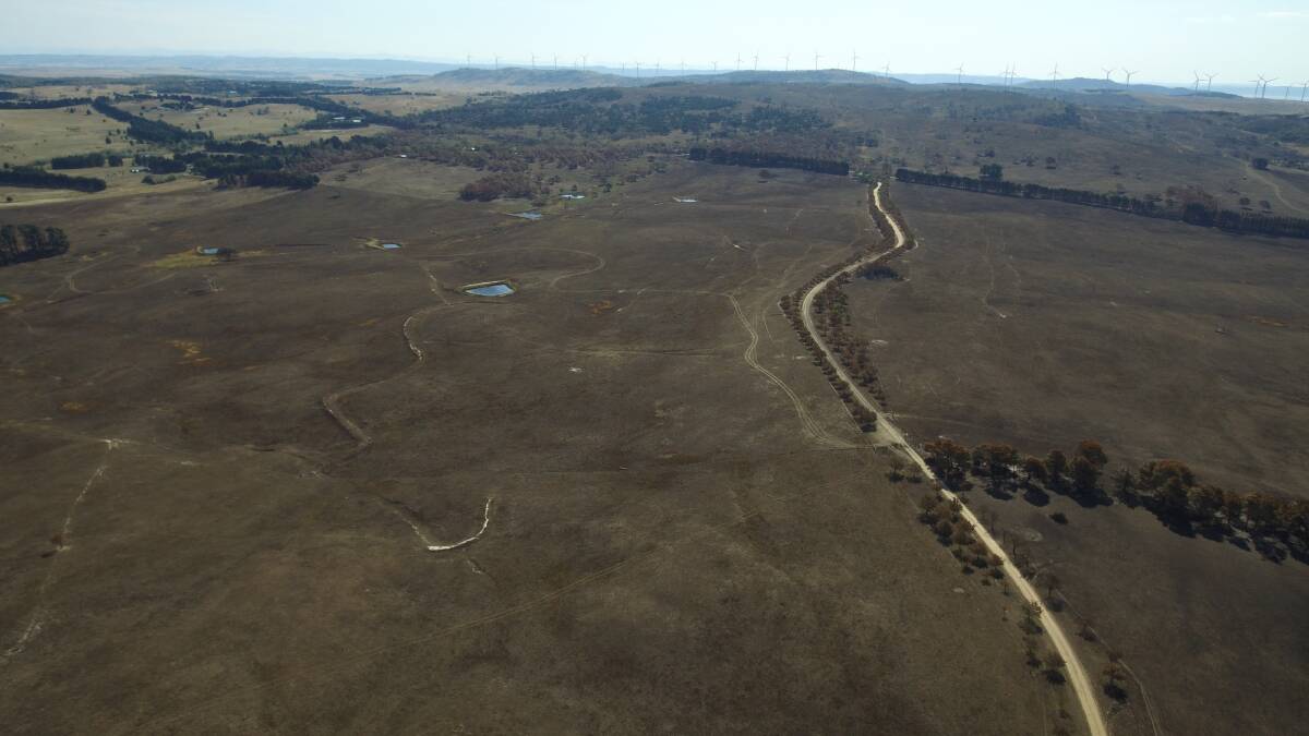 EXTENSIVE: A large portion of the Currandooley fire ground, showing the entry to Tim De Mestre's Merigan property at right. Photo: Andrew Forsyth.