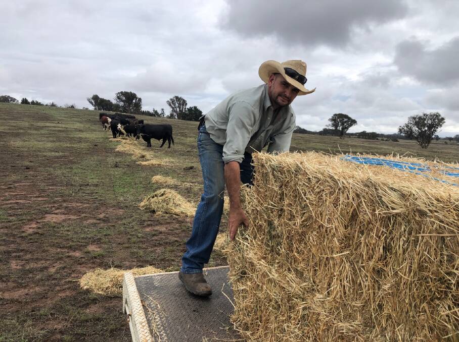 DAILY WORK: Roo (pictured) and Sue Arcus have been handfeeding stock on their Parkesbourne property since 2016. They have destocked to just 30 cattle in more recent time. Photo supplied. 