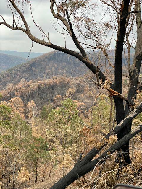 The Green Wattle Creek fire has burnt through thousands of hecates of national park around the Wombeyan Caves area. Photo: Rosey Stronach.