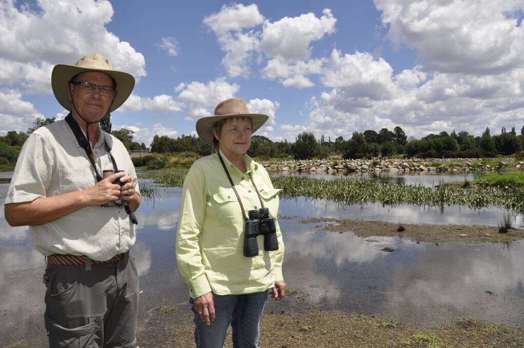 BUSTLING WITH LIFE: Frank Antram and Ashlea Mahoney have volunteered with FROGS, the group rejuvenating the Goulburn wetlands, for many years. Photo: Louise Thrower.