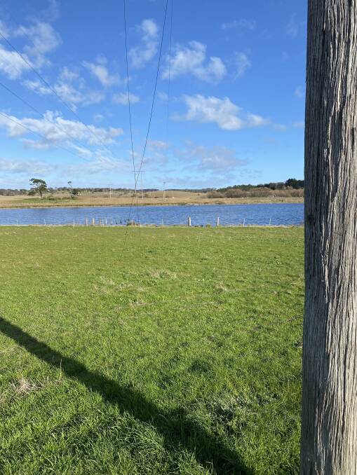 Essential Energy and the SES are removing a powerline that has fallen into the Mulwaree River behind Southern Meats abattoir at Goulburn. The provider believes "local fauna" caused the widespread outage. Photo supplied.