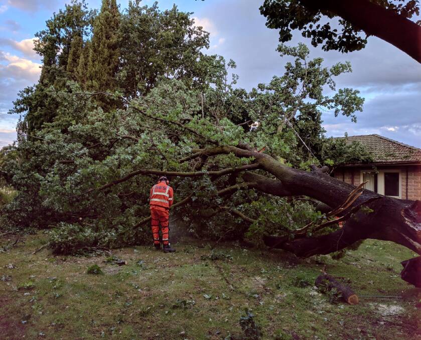 Large oak tree falls over district house