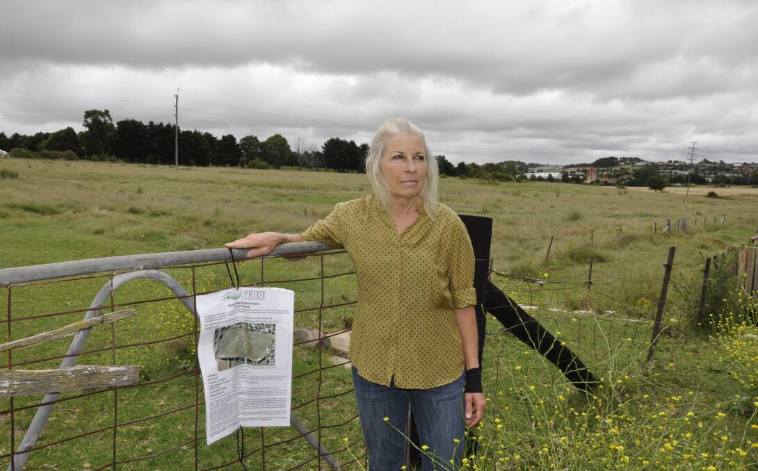 HERITAGE PROTECTION: Eastgrove resident Marion Chaaya wants to see more investigation of Aboriginal heritage on the site of a proposed 34-lot residential subdivision off Forbes Street at Eastgrove. The property was once part of the Lansdowne Park estate. Photo: Louise Thrower.