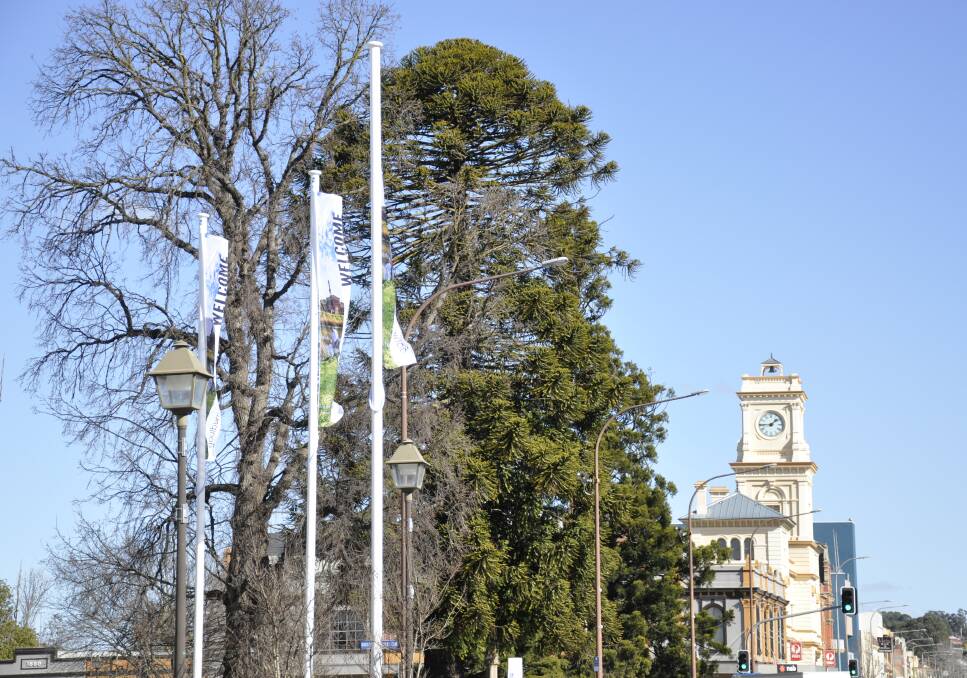 FRIENDLY: New flagpoles have been installed in Auburn Street as a welcoming gesture and promotional tool. Photo: Louise Thrower.