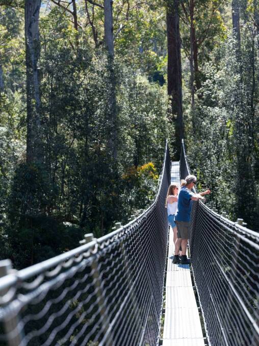 Feel the power of nature as the mighty Huon and Picton Rivers rush beneath your feet, on two swinging bridges suspended from the riverbanks.<br />
