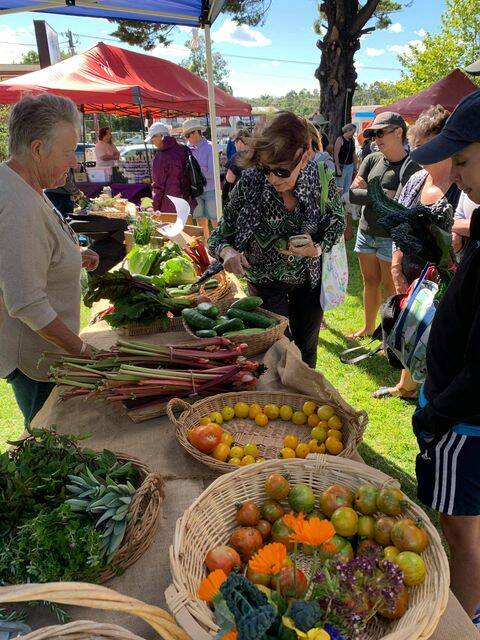 Find something for each of your senses including coffee, flowers, food, preserves, plants, candles, jewellery and more at the Goulburn Rotary Parkside Markets. Photo from file.