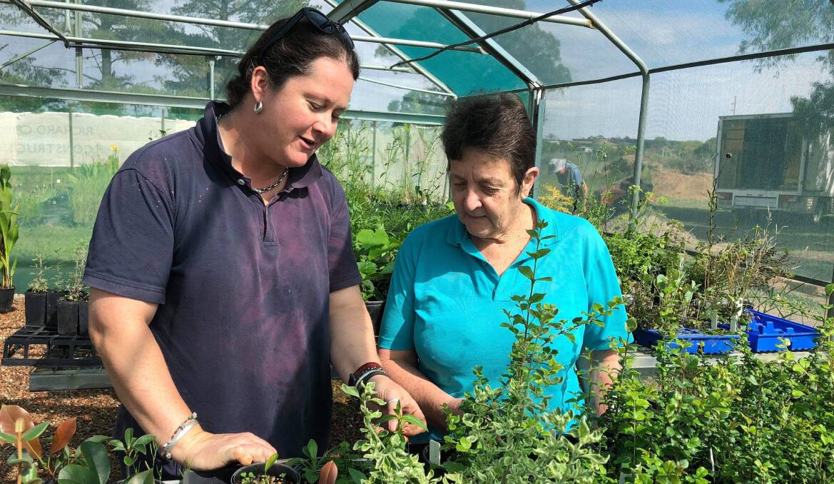 HORTICULTURAL ADVICE: Growing Abilities Goulburn’s horticulturalist Kirstie Chalker and president Helen Morgan prepare for this Saturday’s Open Day at the Ross Street site. Photo: Anne Oliver. 