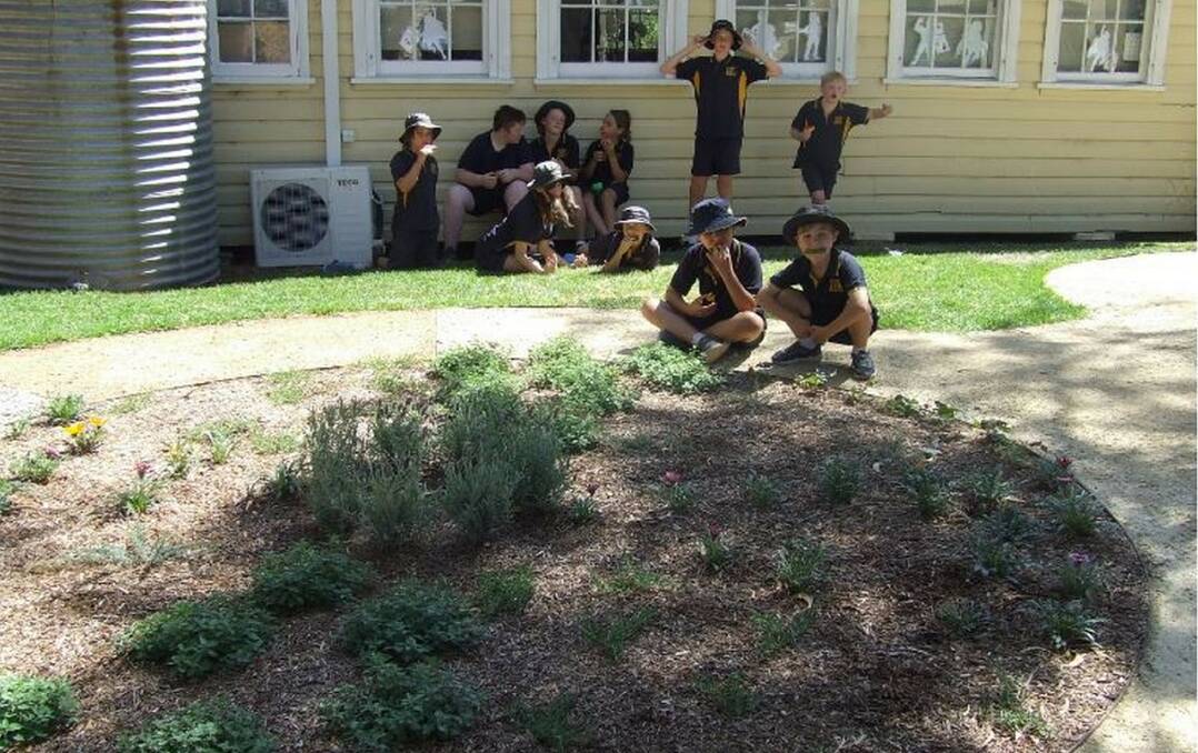 Students enjoy part of the new garden.