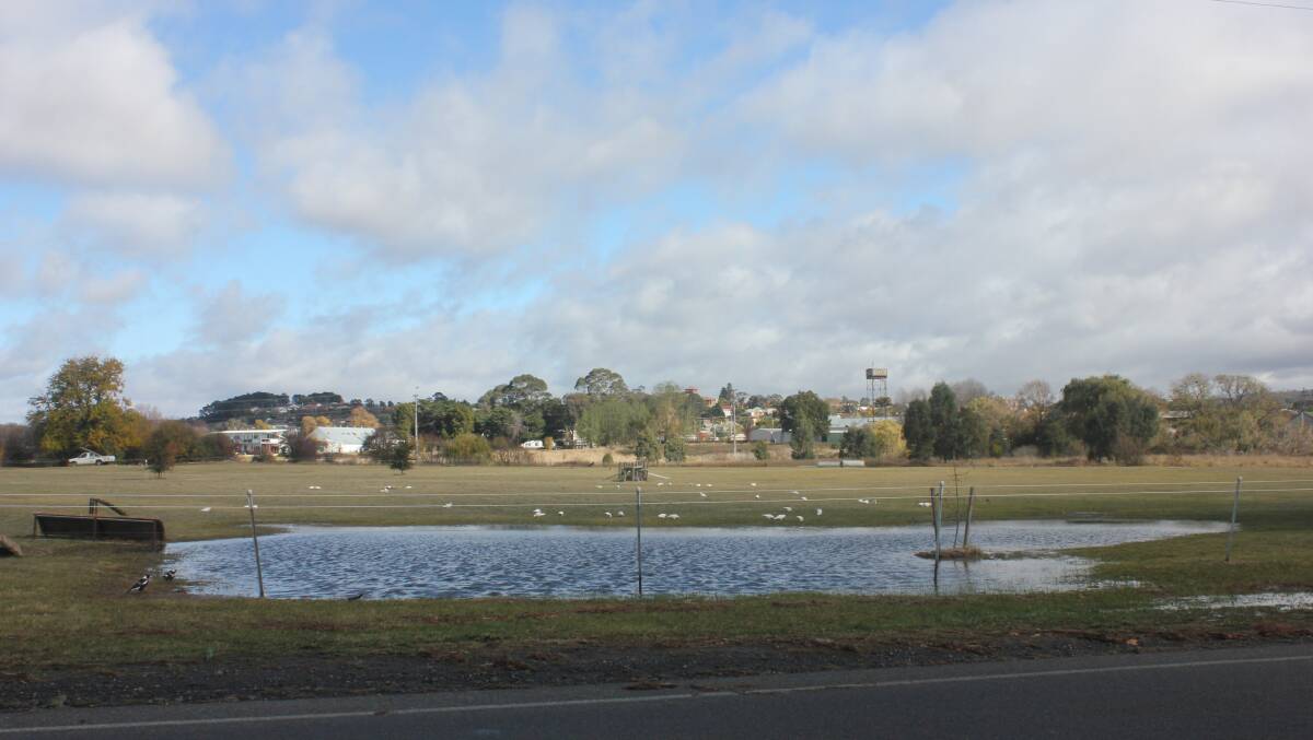 The burst water main in a paddock across from Carr Confoy Oval. Photo David Cole. 