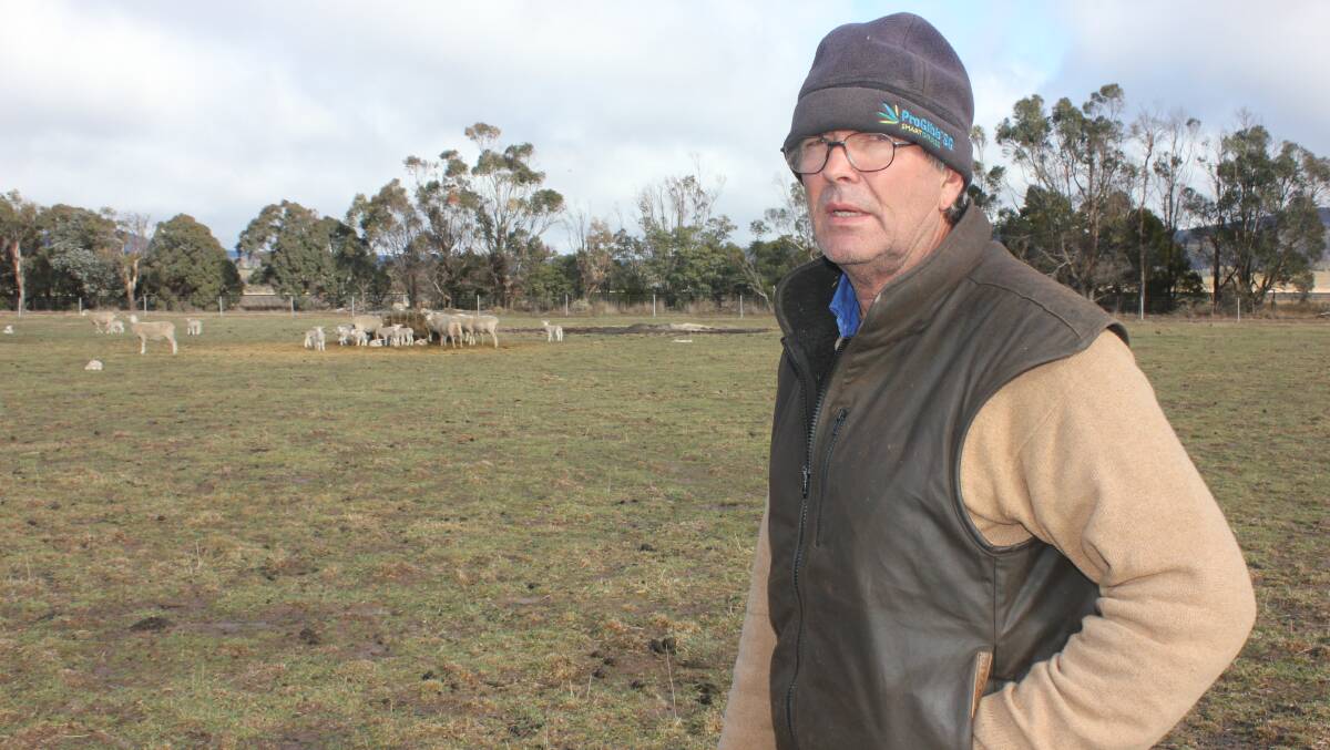 PREPARED: Grazier Ian McLennan at Connen Hill, on the Braidwood Rd, with sheep gathered around a feed lot in the background. Photo David Cole.