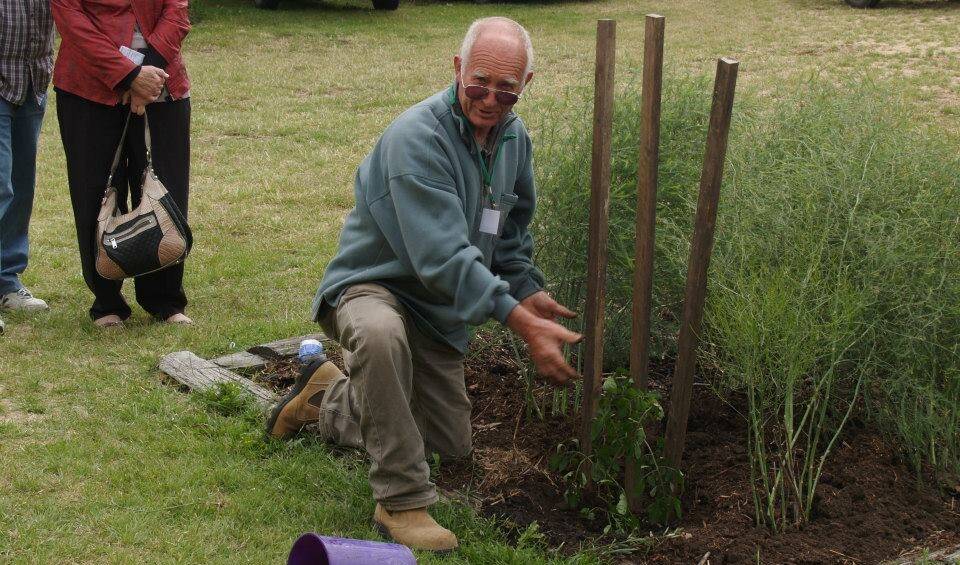 GREEN THUMBS: Ray Shiel demonstrating his knowledge in the garden.  Ray is giving a talk on earth worms at 2pm in the Community Garden. 