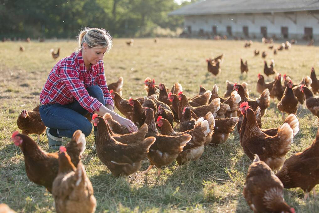 The changing role of Females Who Farm