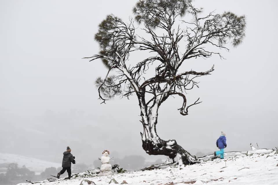 WEATHER: Snow is forecast to fall in the Southern Tablelands this Friday and Saturday. Photo: Theresa Robinson