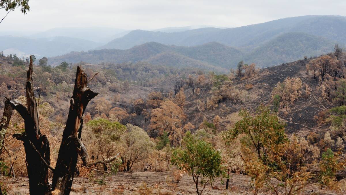 FIRE: The terrain around Wombeyan Caves burnt by the Green Wattle Creek fire. Photo: Hannah Sparks
