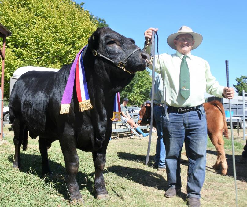 INFASTRUCTURE: Champion Bull, at the 2019 Taralga show held by owner Mick Parsons, of 'Kia Ora Limousins', Roslyn. Photo: Clare McCabe
