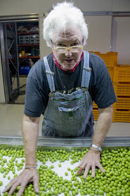 Alto Olives proprietor Robert Armstrong says Australian olive oils have unquestionably come of age. Photo supplied. 