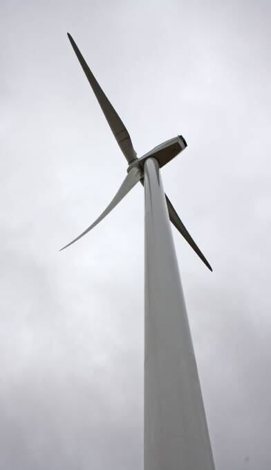 Construction commences on Collector Wind Farm. 