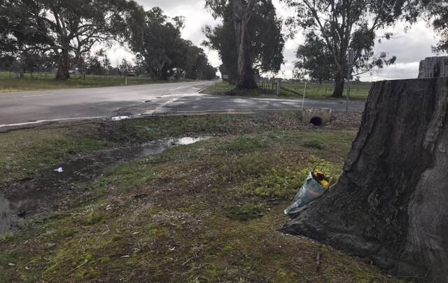 Tribute: Flowers next to a stump on Sunday mark the scene of Saturday's fatal crash at Laceby south of Wangaratta. The road leading off to the right enters the airport and Jamie Drummond was turning right into it when his FJ Holden was struck. Picture: ELLEN EBSARY