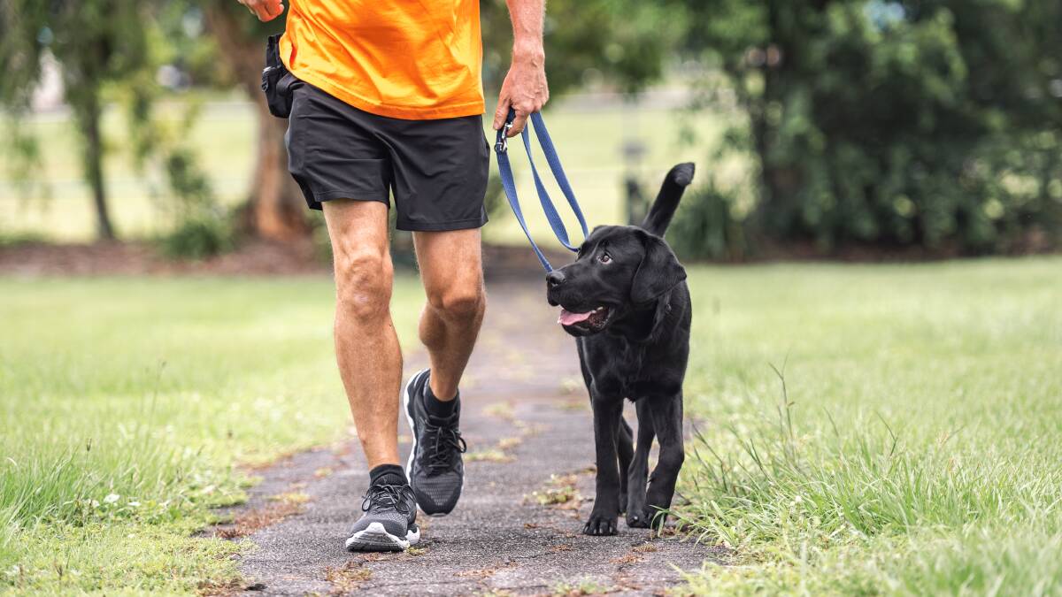 Pawgust: Walkies builds curiosity and excitement for dogs as well as developing one-on-one time bond with owners according to Guide Dogs Australia. Picture: Supplied. 