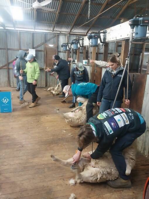 Crookwell High students got a taste of shearing through a course run in conjunction with TAFE last week. Picture supplied. 