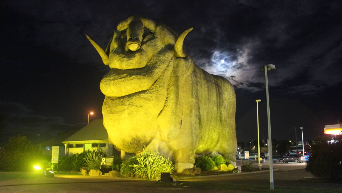 Night light: Goulburn's Big Merino is being lit up in yellow this week. Picture: Sophie Bennett. 