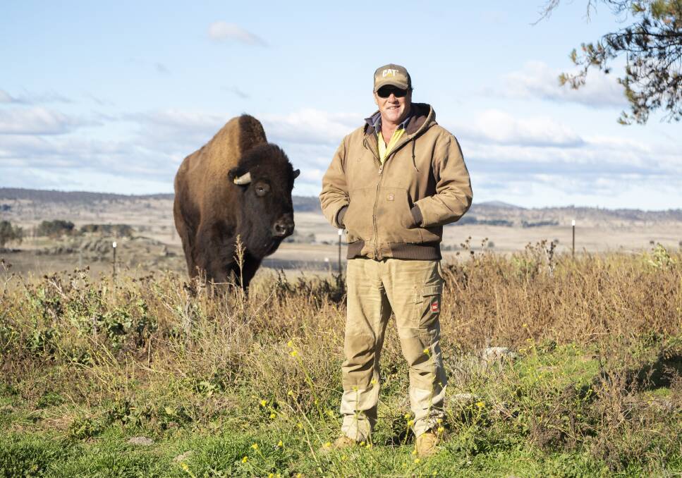 Home on the range ... Berridale campdrafter Scott Gardiner with his training bison, Barry. Picture: Dion Georgopoulos 