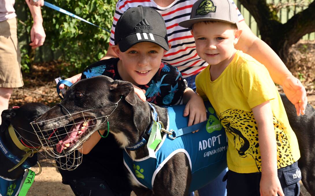Friendly and lovable: The Greyhounds as Pets program aims to match each adoptive owner with a dog that has a suitable personality for that particular family.