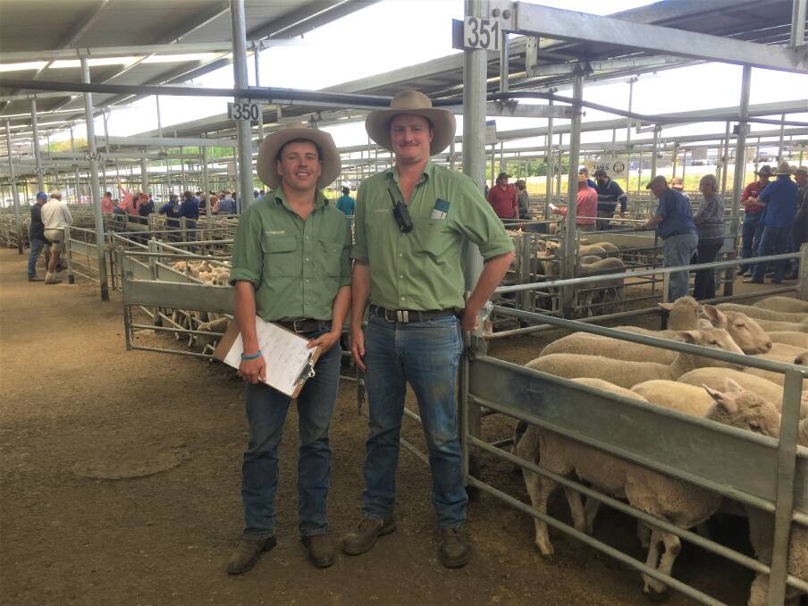 Challenging: Landmark's branch manager says the drought has been tough. Pictured Goulburn Landmark's Harrison Cummins and Charlie Croker. Photo: Clare McCabe