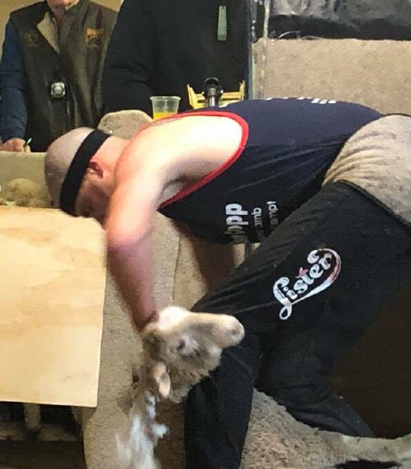 IN ACTION: World record holder Aidan Copp shearing a lamb during his world record attempt on Saturday where he was shearing for eight-hours. Picture: Nikki Reynolds