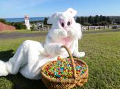 The Easter Bunny is raking it in at this time of year. Picture by Anthony Brady