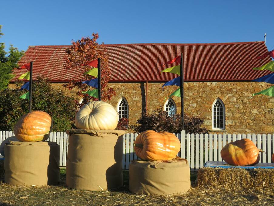 The Collector Village Pumpkin Festival will return on May 2, 2021. Picture: Facebook.