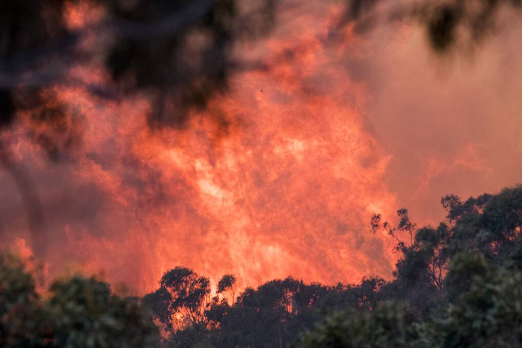 The North Black Range fire near Braidwood on Thursday. Picture: Dion Georgopoulos