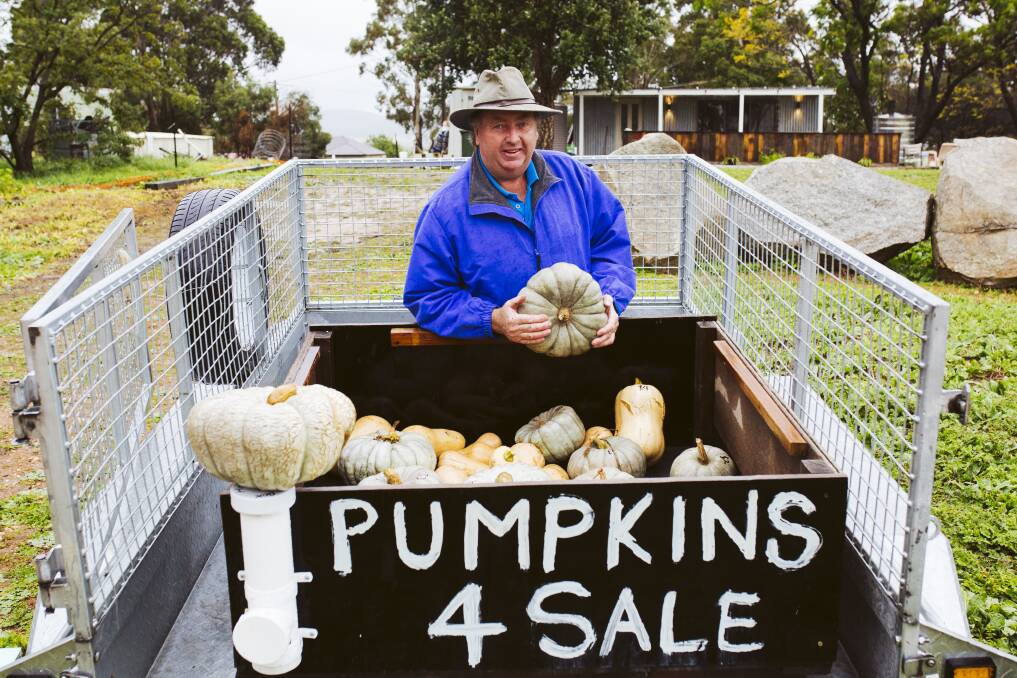 Collector Pumpkin Festival president Gary Poile with some of the leftover pumpkins. Picture: Jamila Toderas