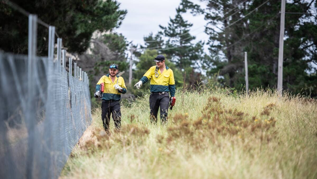 Rapid response biosecurity officer Ben Nolan and team leader Ian Lenon installed rabbit-proof fences at Duntroon Dairy after the completion of a fumigation program at the base of Mount Pleasant. Picture Karleen Minney
