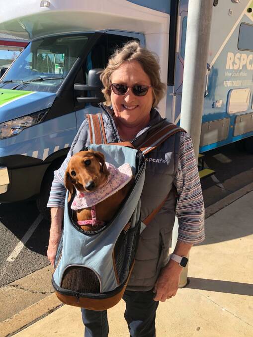 Goulburn RSPCA branch president Louise Gardiner investigated the new vehicle along with her dog Penny. 