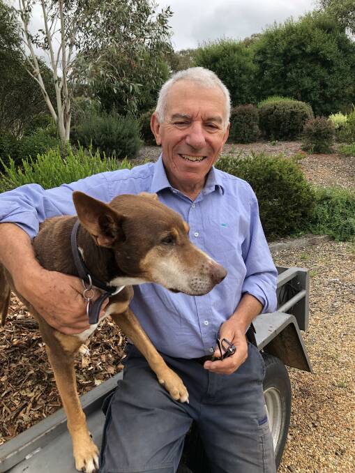 Dr Robert Favarolo (pictured with dog Scooby) shares his wisdom won of 45 years as a GP.
