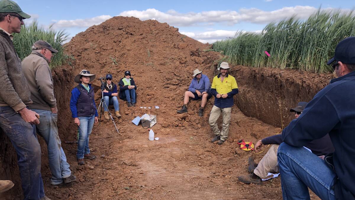 Dr Jason Condon from NSW DPI will run a soil pit workshop near Binalong on October 13.