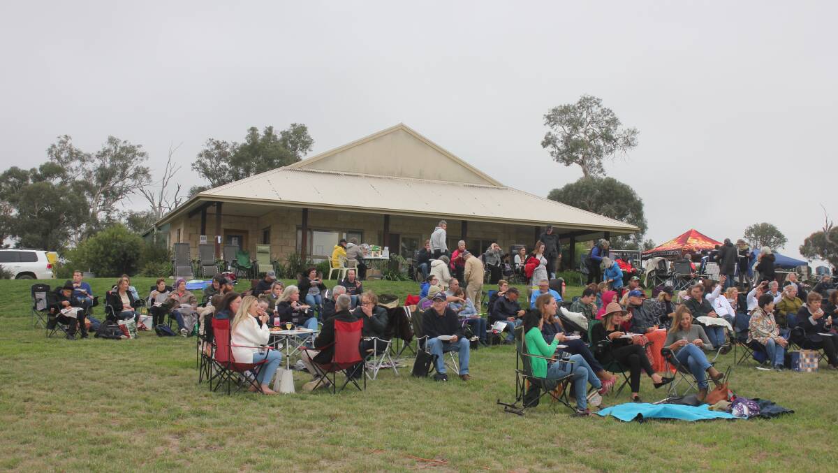SOCIALISING: The BDCU's Movie Under the Stars at Kingsdale Winery on Saturday drew about 180 people and raised some $5000. Photo: Burney Wong.