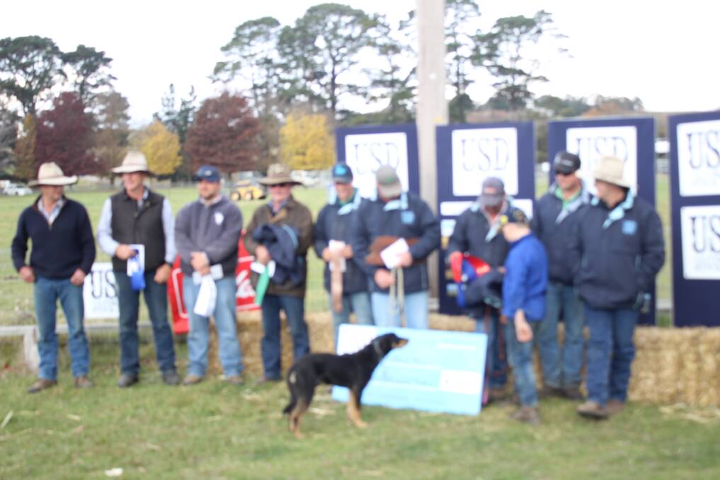 GOOD DOG: The winning dog and owner, Sunraysia George and Justin Tombs, line up with the place-getters at the Taralga Ultimate Stock Dog Challenge.
